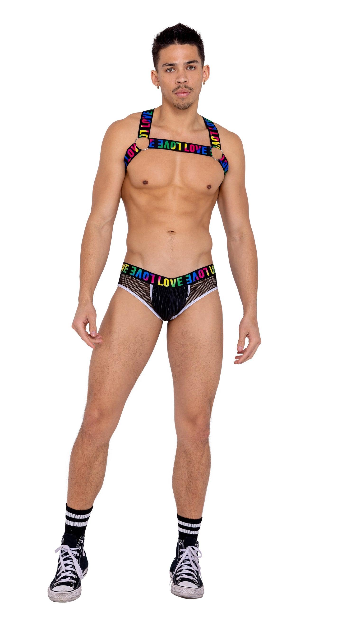 Roma Costume Mens Briefs with Fishnet Panel and LOVE Elastic Band - Flyclothing LLC