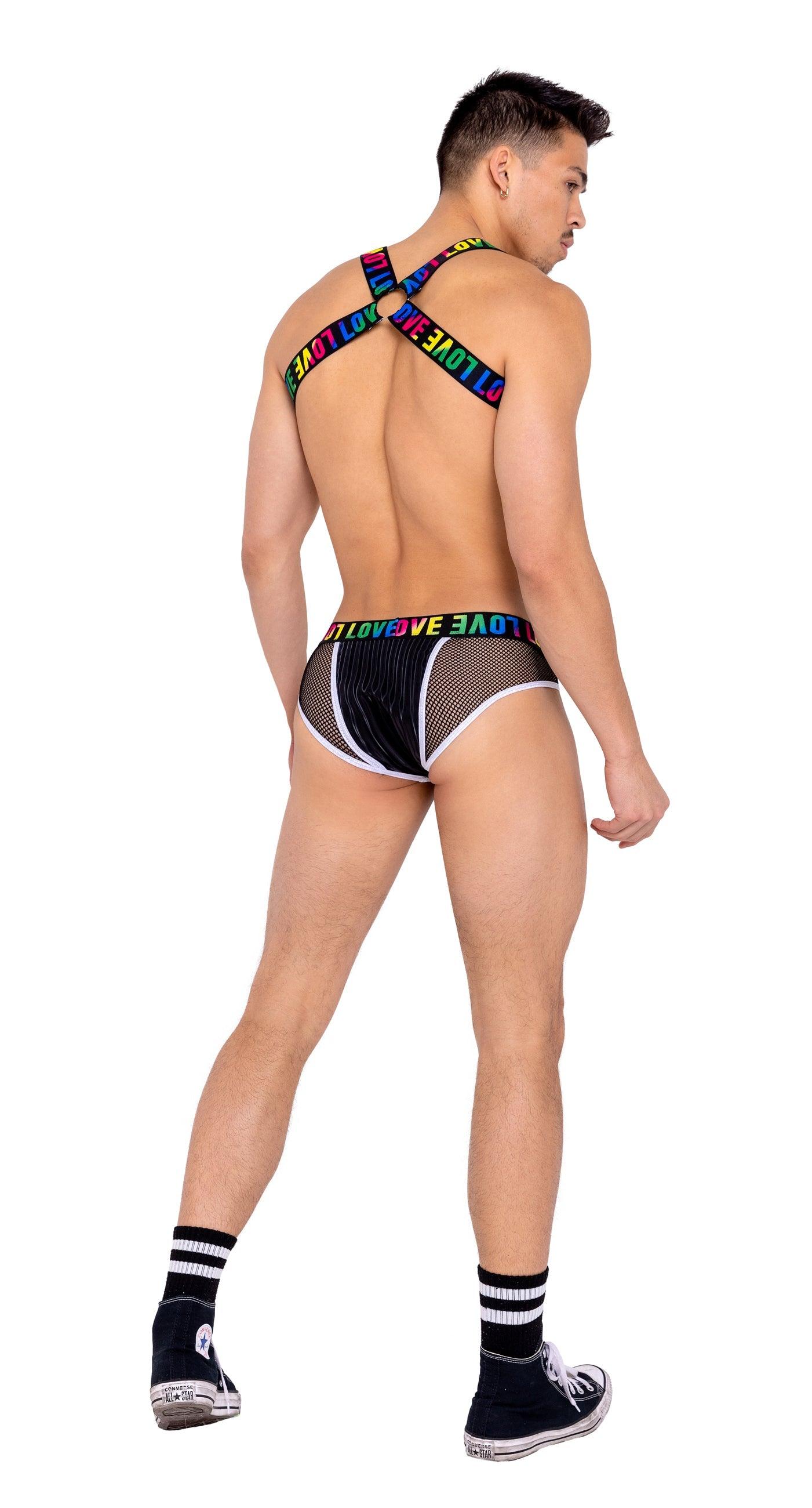 Roma Costume Mens Briefs with Fishnet Panel and LOVE Elastic Band - Flyclothing LLC