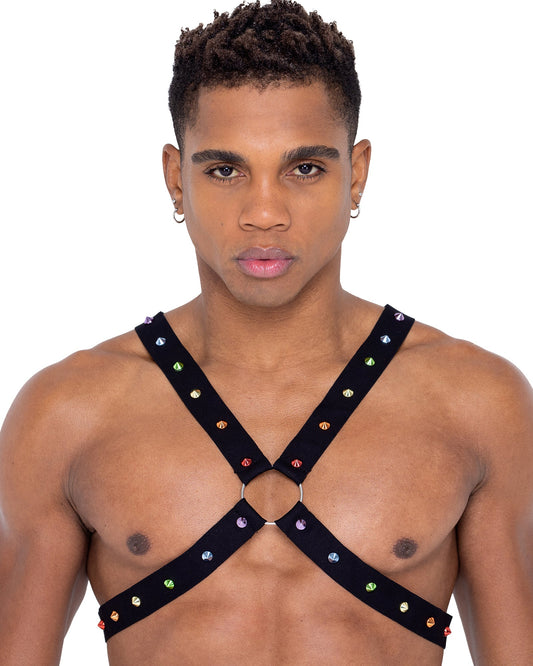 Roma Costume Mens Pride Harness