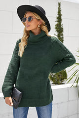 Horizontal Ribbing Turtleneck Sweater - Trendsi