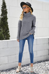 Horizontal Ribbing Turtleneck Sweater - Trendsi