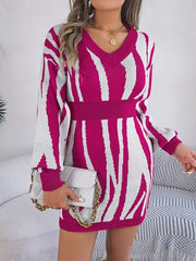 Animal Print V-Neck Long Sleeve Sweater Dress - Flyclothing LLC