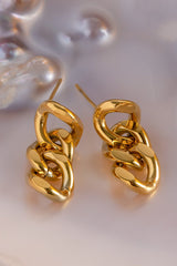 Stainless Steel Chain Earrings - Flyclothing LLC