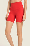 Seamless High-Rise Wide Waistband Biker Shorts - Flyclothing LLC