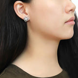 Alamode High polished (no plating) Stainless Steel Earrings with AAA Grade CZ in Clear - Flyclothing LLC