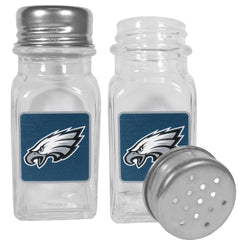 Philadelphia Eagles Graphics Salt & Pepper Shaker - Flyclothing LLC