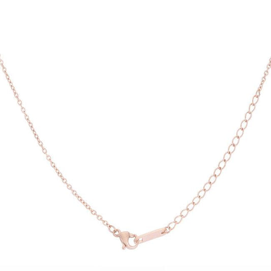 Arianna Rose Gold Stainless Steel Arrow Necklace - Flyclothing LLC