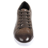 Sandro Moscoloni Bravo Brown Perfed toe six eyelet sneakers - Flyclothing LLC