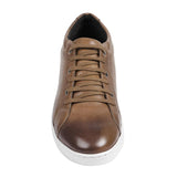 Sandro Moscoloni Bravo Tan Perfed toe six eyelet sneakers - Flyclothing LLC