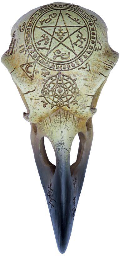 The Vault Omega Raven Skull - Flyclothing LLC