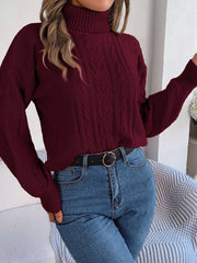 Cable-Knit Turtleneck Sweater - Flyclothing LLC