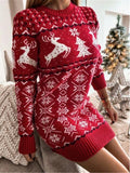 Reindeer & Snowflake Round Neck Sweater Dress - Flyclothing LLC