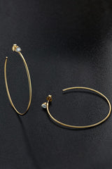 925 Sterling Silver Moissanite Hoop Earrings - Trendsi