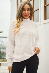 Cable-Knit Turtle Neck Long Sleeve Sweater - Trendsi