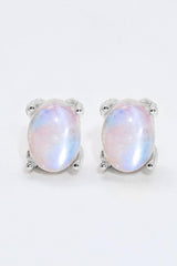 Natural Moonstone 4-Prong Stud Earrings - Flyclothing LLC