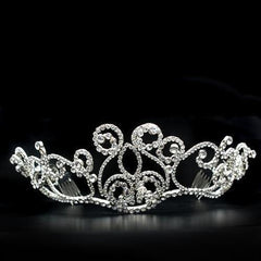 Alamode Imitation Rhodium Brass Tiaras & Hair Clip with Top Grade Crystal in Clear - Alamode